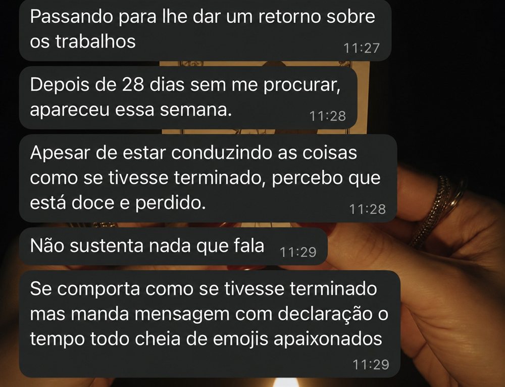 Print de conversa mostrando o retorno